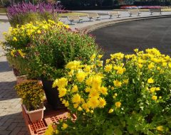 2025年10月30日　植物園2